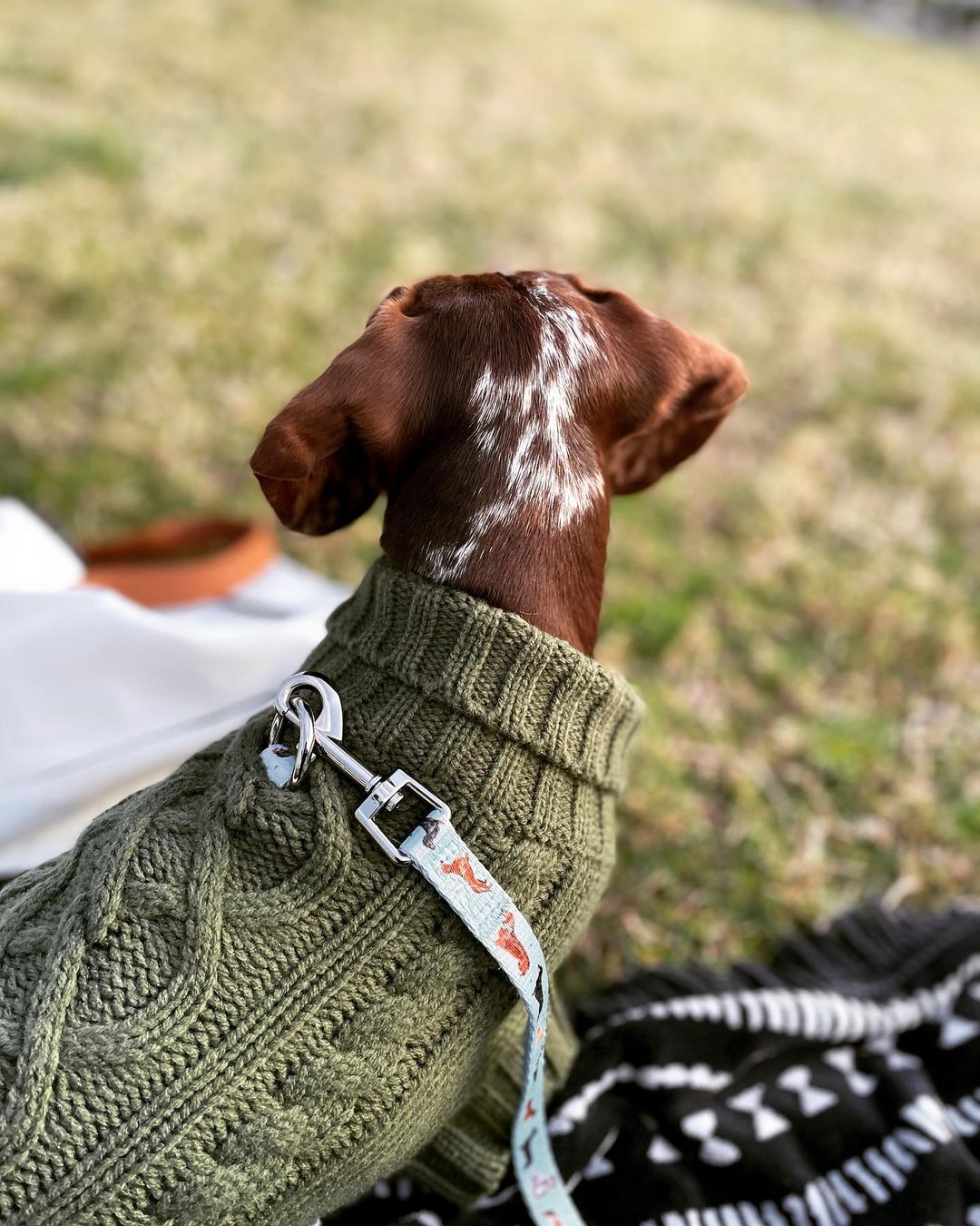 Coco & Pud Coco Cable Olive Pet Sweater