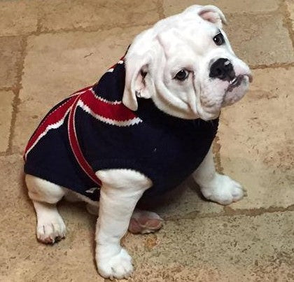 Coco & Pud Union Jack Dog Sweater - Coco & Pud