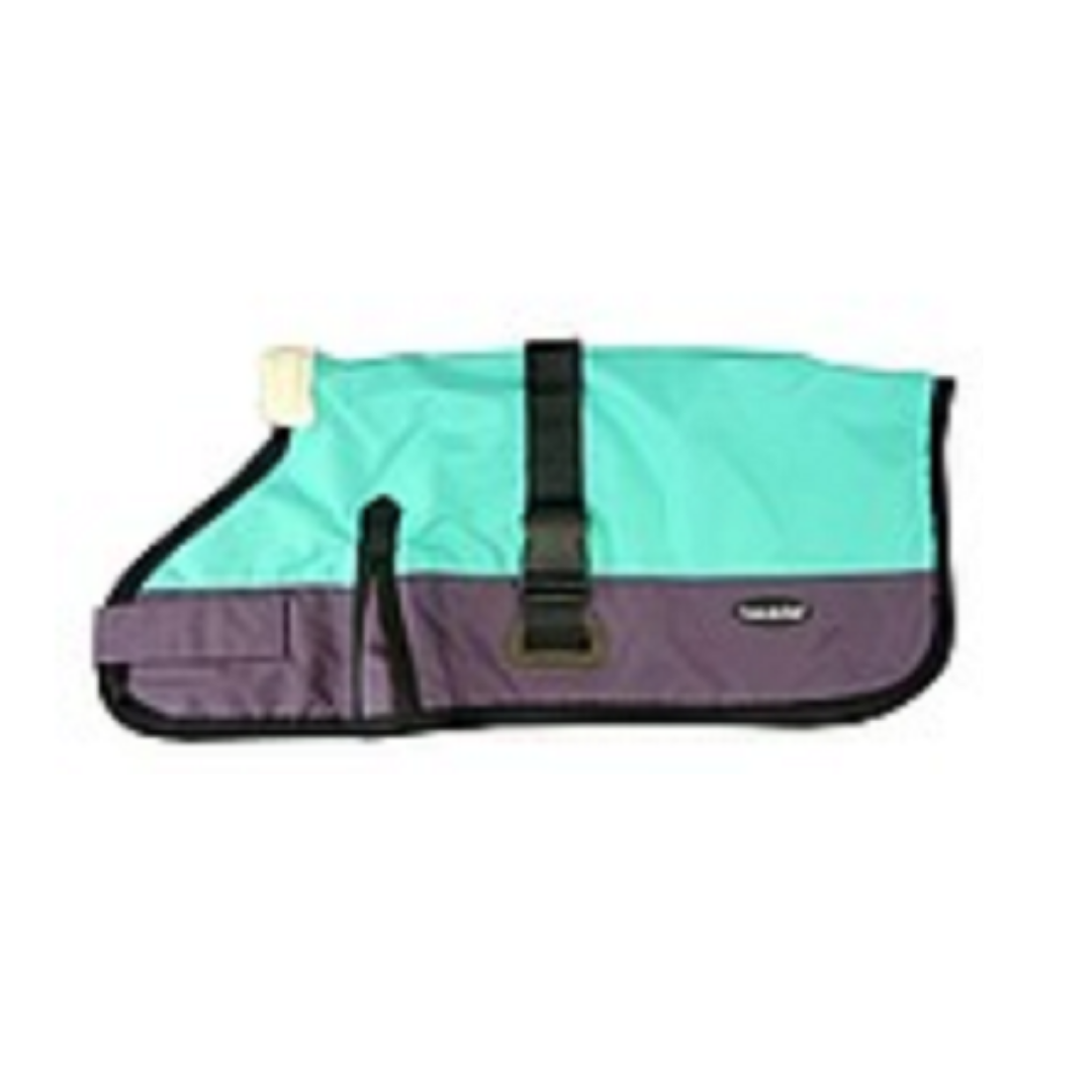 Waterproof Dog Coat 3009-B - Teal/ Purple (for Big Dogs) - Coco & Pud