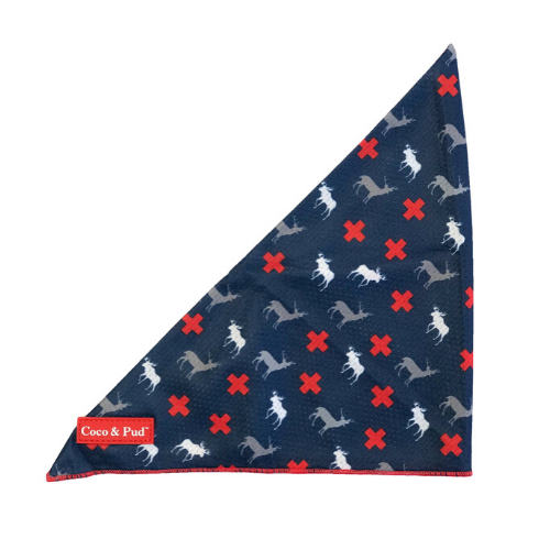 Coco & Pud Adventure Bandana - Coco & Pud