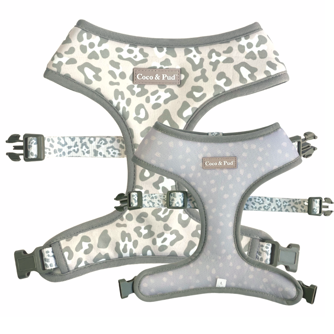 Coco & Pud Amur Leopard Reversible Dog Harness