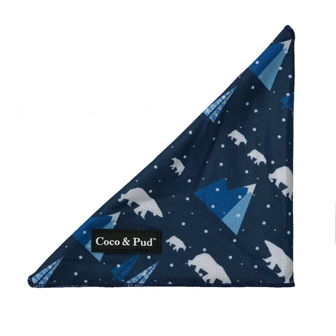 Coco & Pud Arctic Pup Bandana