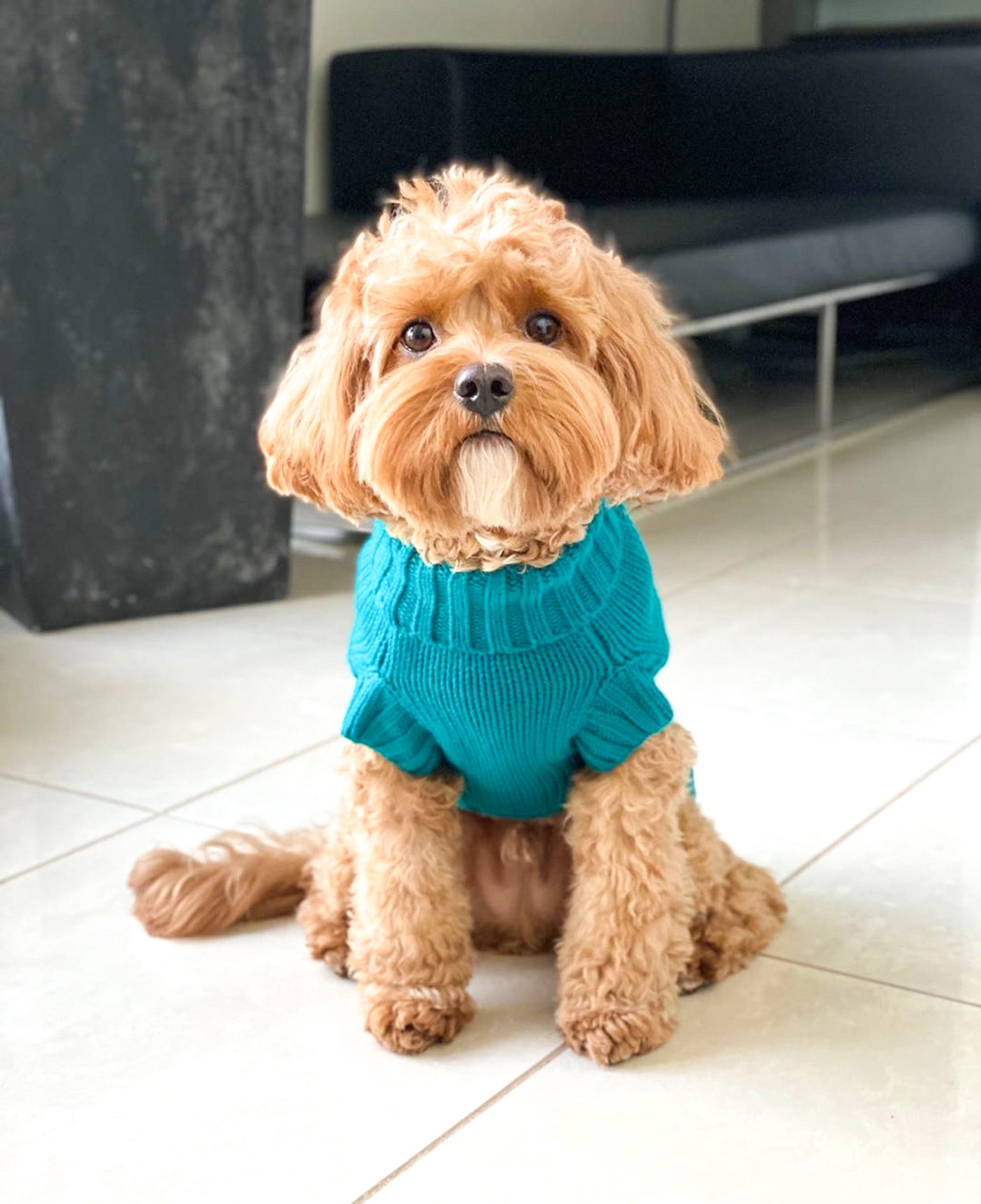 Asta in Coco & Pud Coco Cable Teal