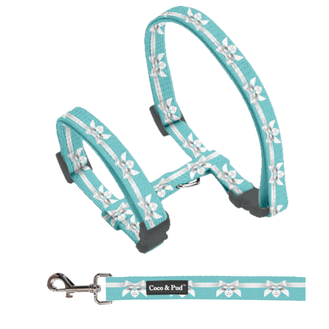 Coco & Pud Audrey Puppy Harness & Lead Set