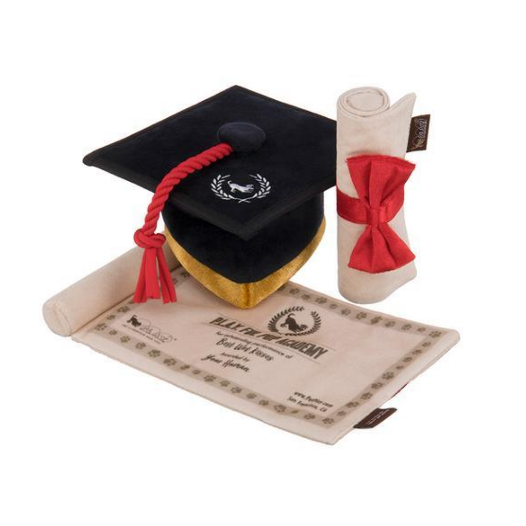 Coco & Pud - Back To School Graduation Cap Dog Toy