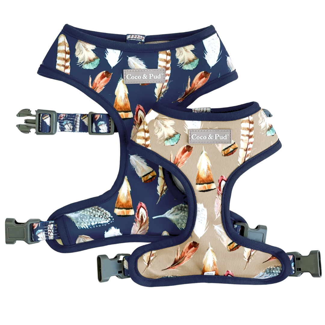 Birds of a Feather Reversible Dog Harness