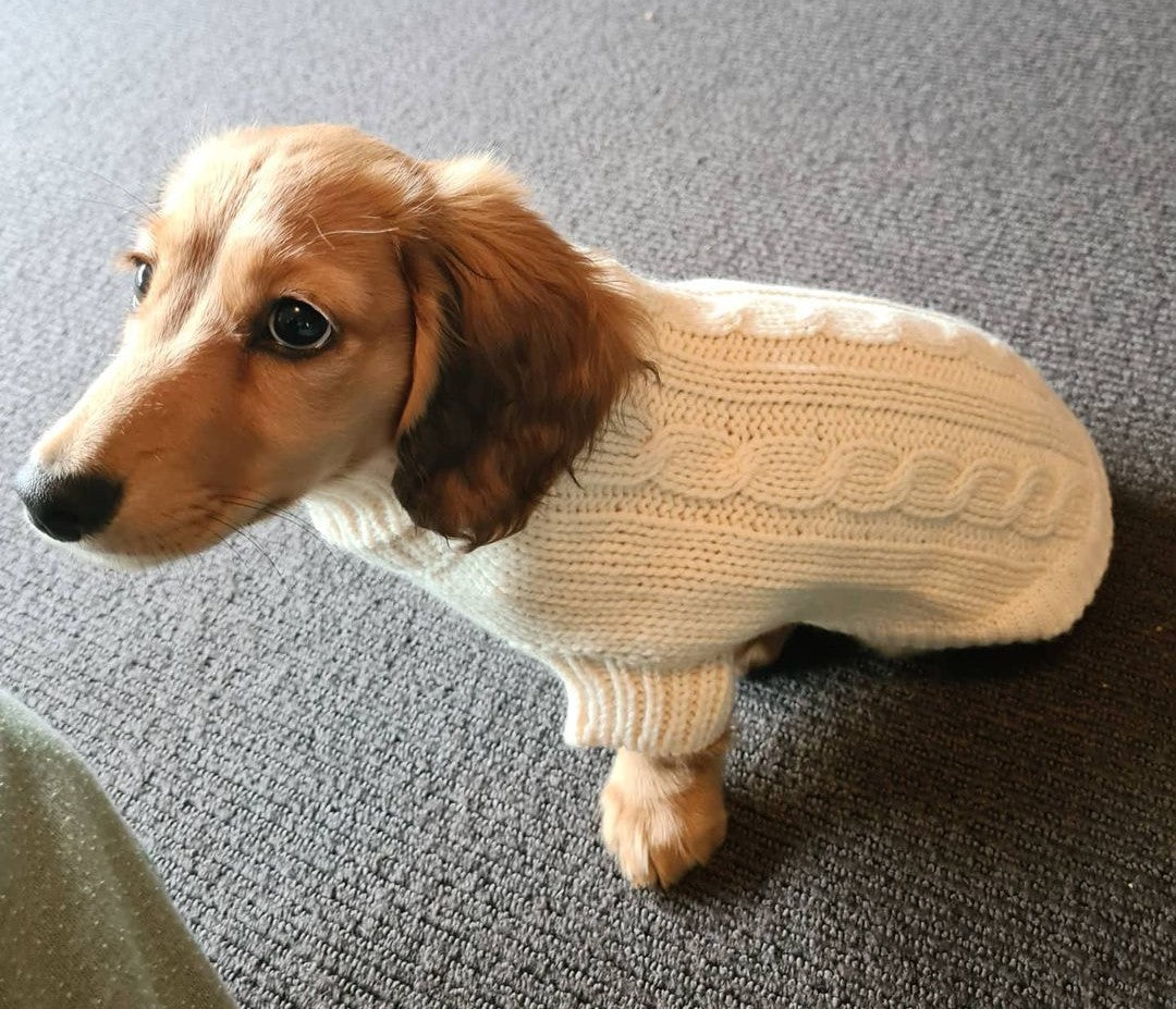 Pancake in Coco & Pud Brighton Cream Sweater