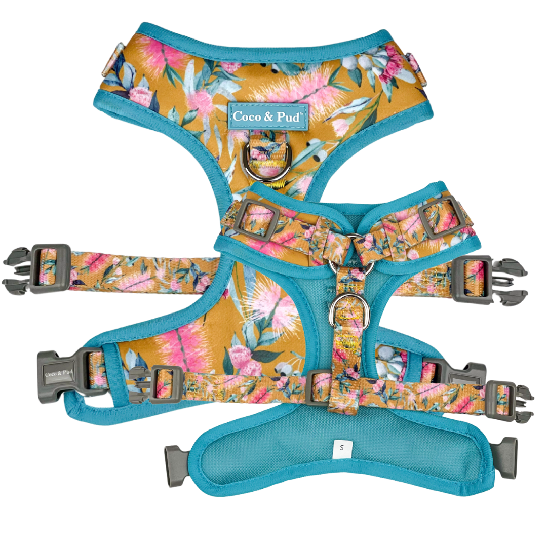 Coco & Pud Brush With Nature Adjustable Dog Harness front & reverse