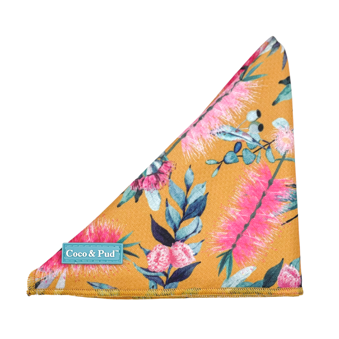 Coco & Pud Brush With Nature Dog Bandana