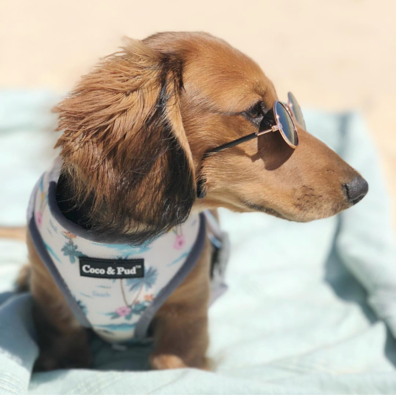 Coco & Pud Camo Hibiscus Dog Harness - Coco & Pud