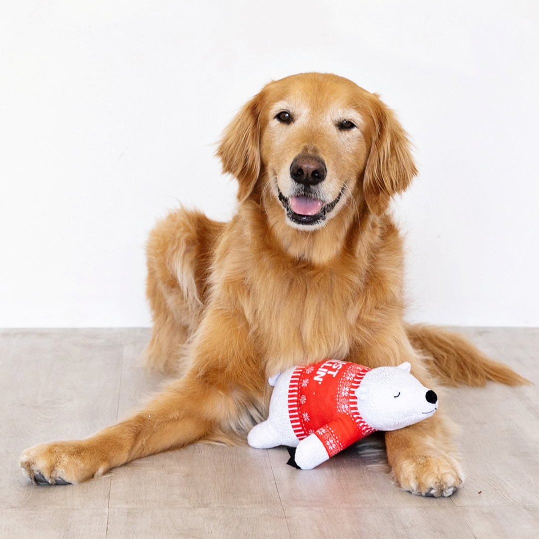 Chill Mode christmas polar bear dog toy with golden retriever - Fringe studio