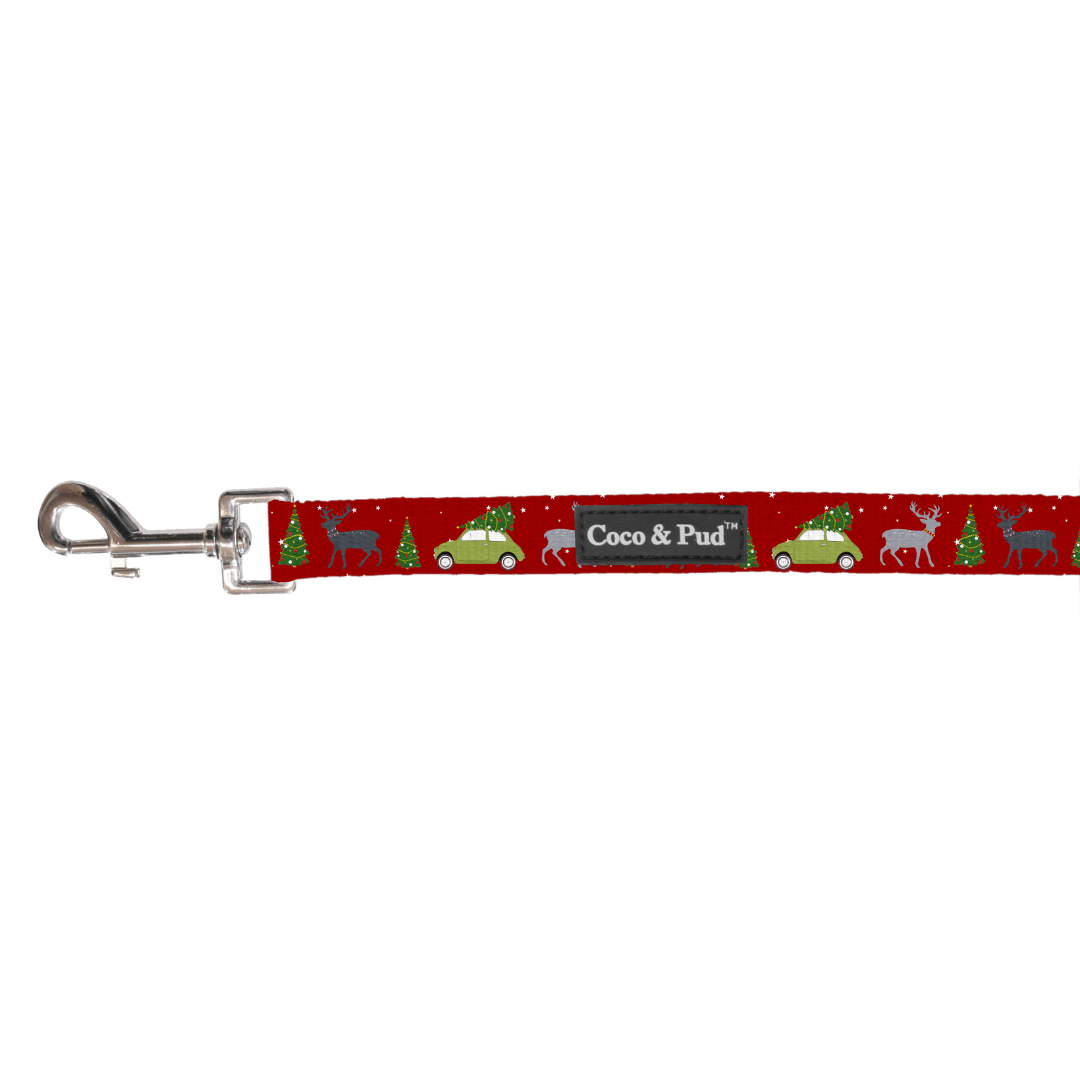 Deck The Paws Cat Lead