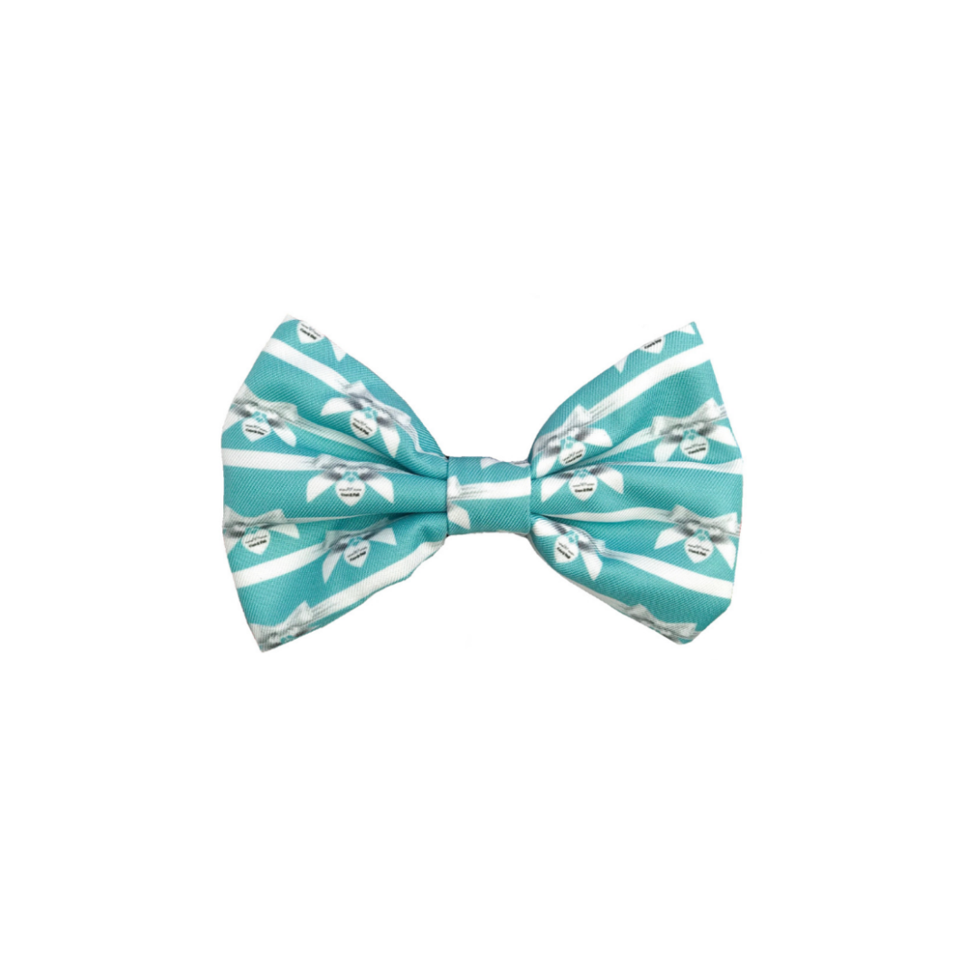 Coco & Pud Audrey Cat Bowtie