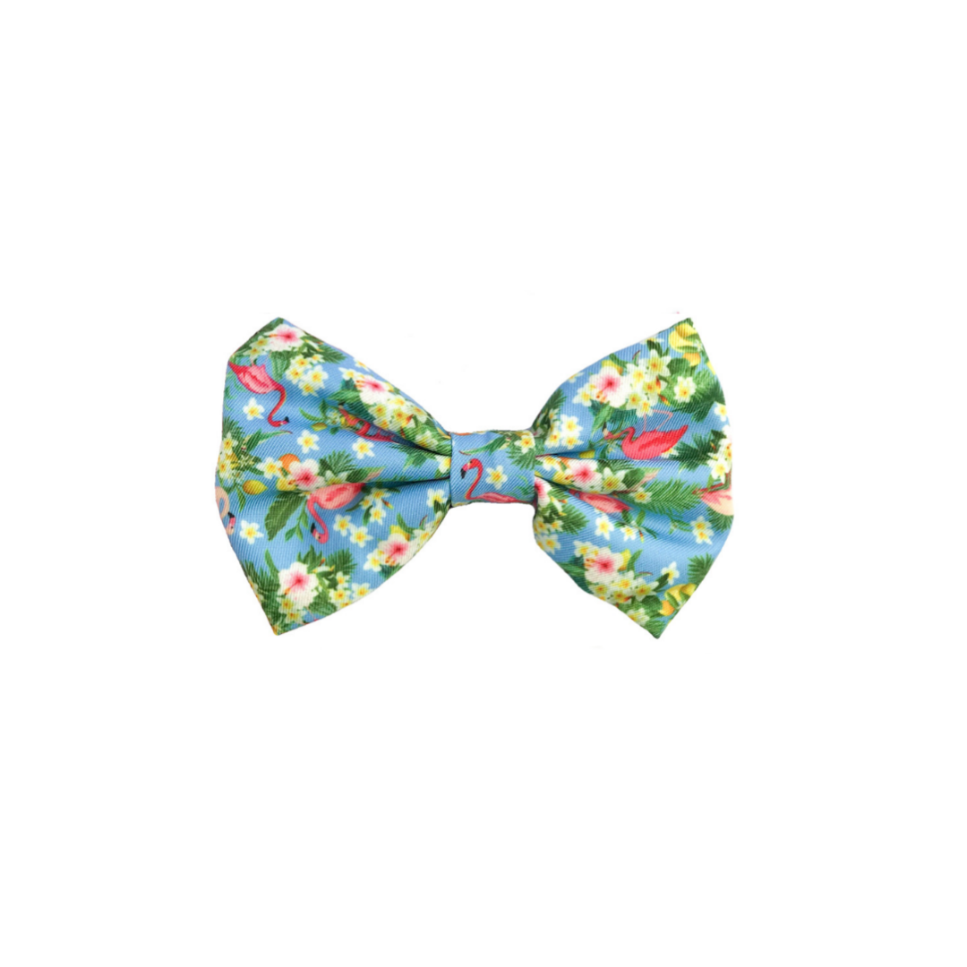 Coco & Pud Flamingo Tropical Dog Bow tie