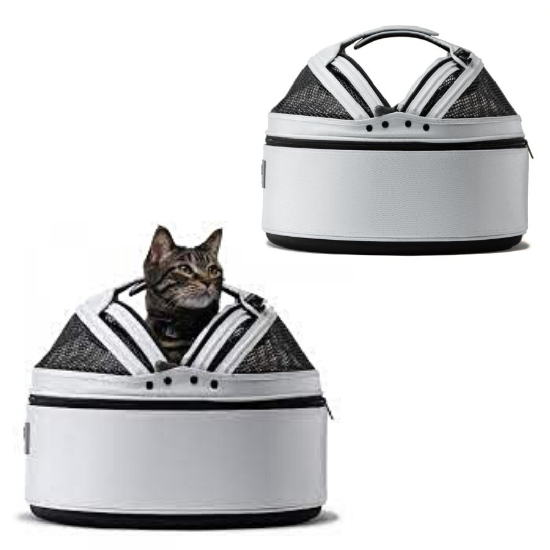 Coco & Pud Sleepypod pet carrier Australia with kitten inside Australia