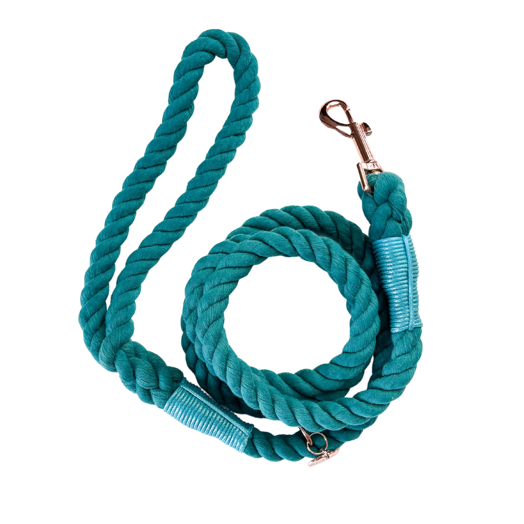 Coco & Pud Teal Rope Lead