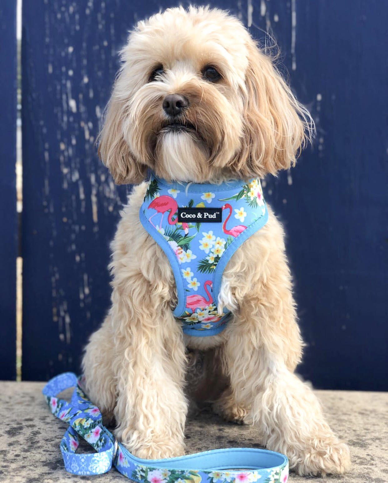Coco & Pud Flamingo Tropical Dog Harness - Coco & Pud