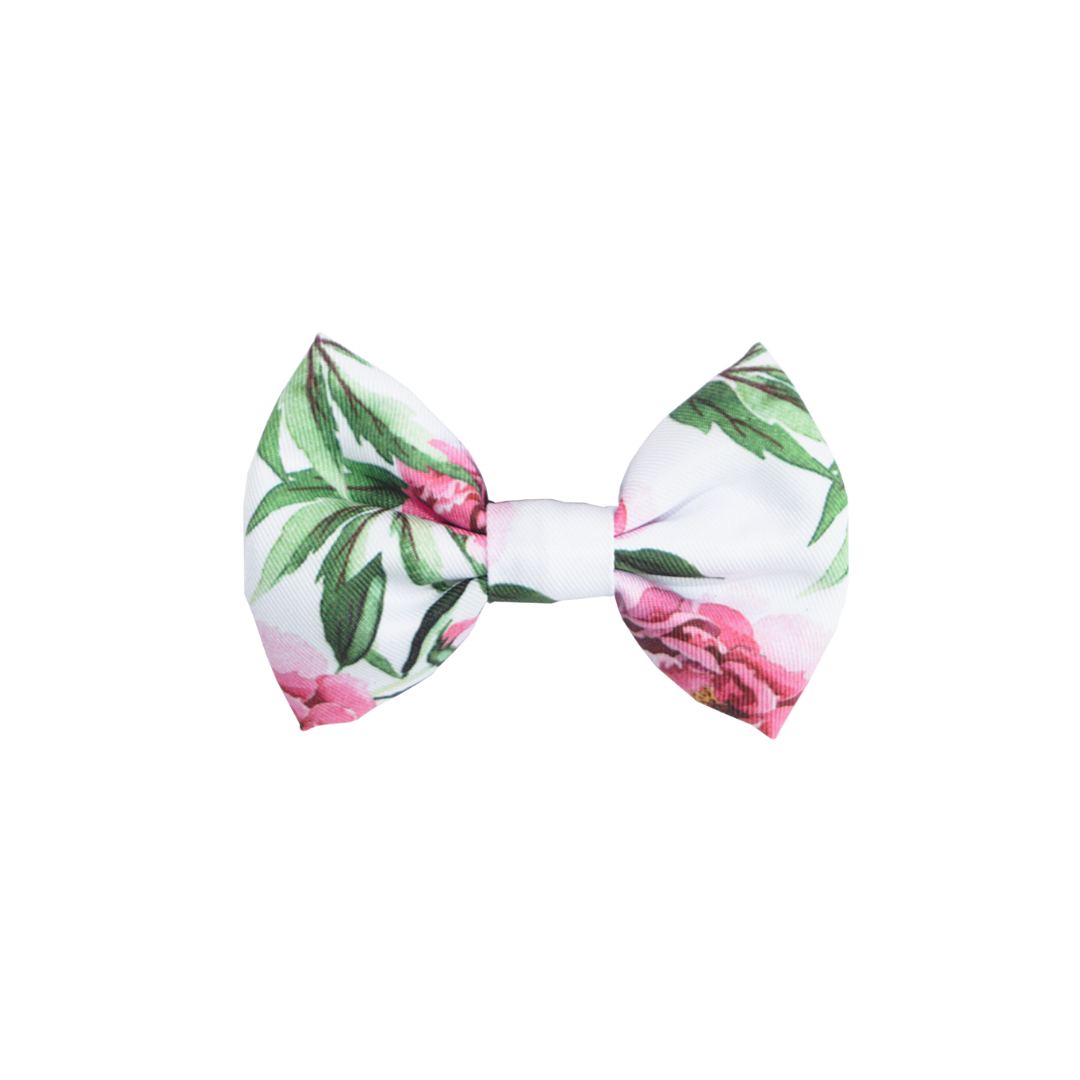 Coco & Pud Peony Dog Bow tie