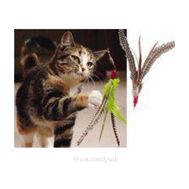 Da Bird Cat Toy Long Rod - Coco & Pud