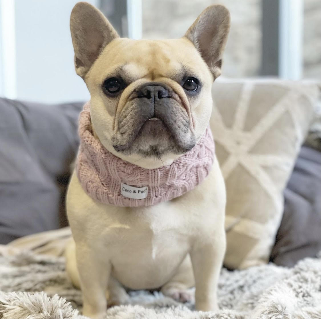Coco Cable Snood - Rose