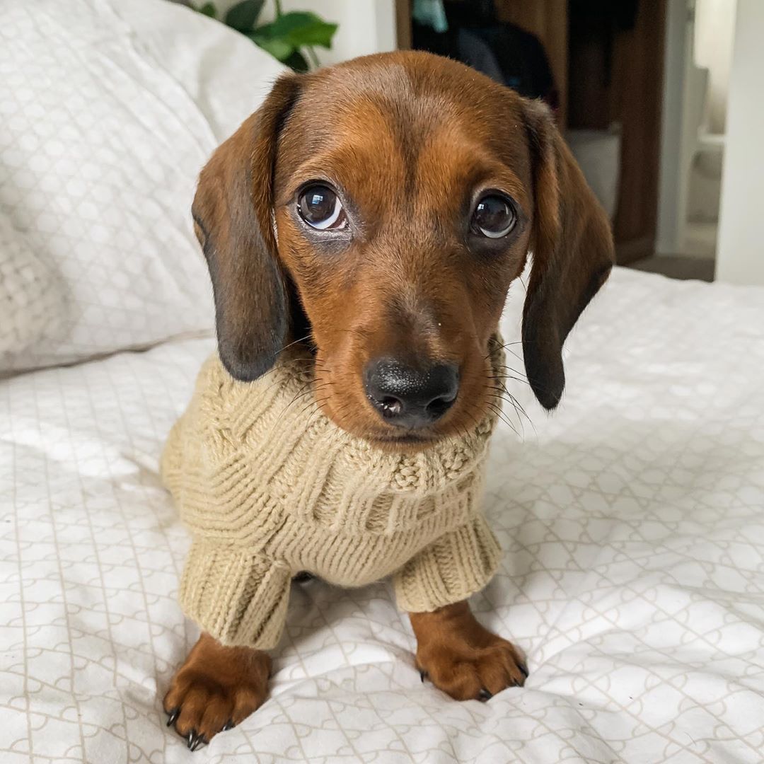 Daisie in Coco & Pud Coco Cable Sweater Oatmeal