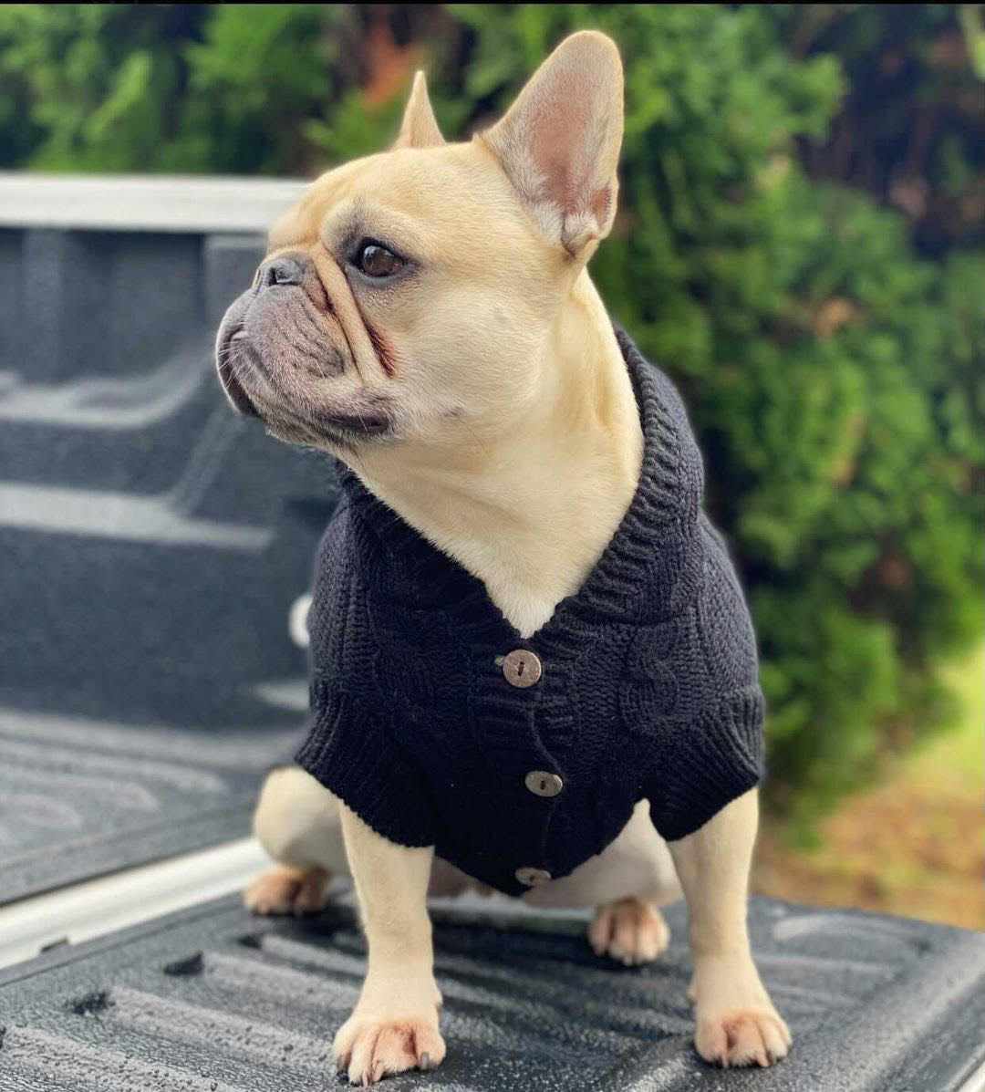 Daisy in Coco & Pud Edinbrugh Sweater Black