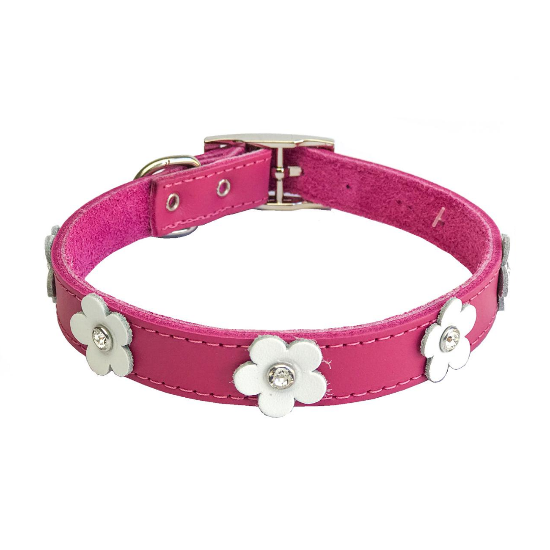 DOGUE Foxy Dog Collar - Fuschia