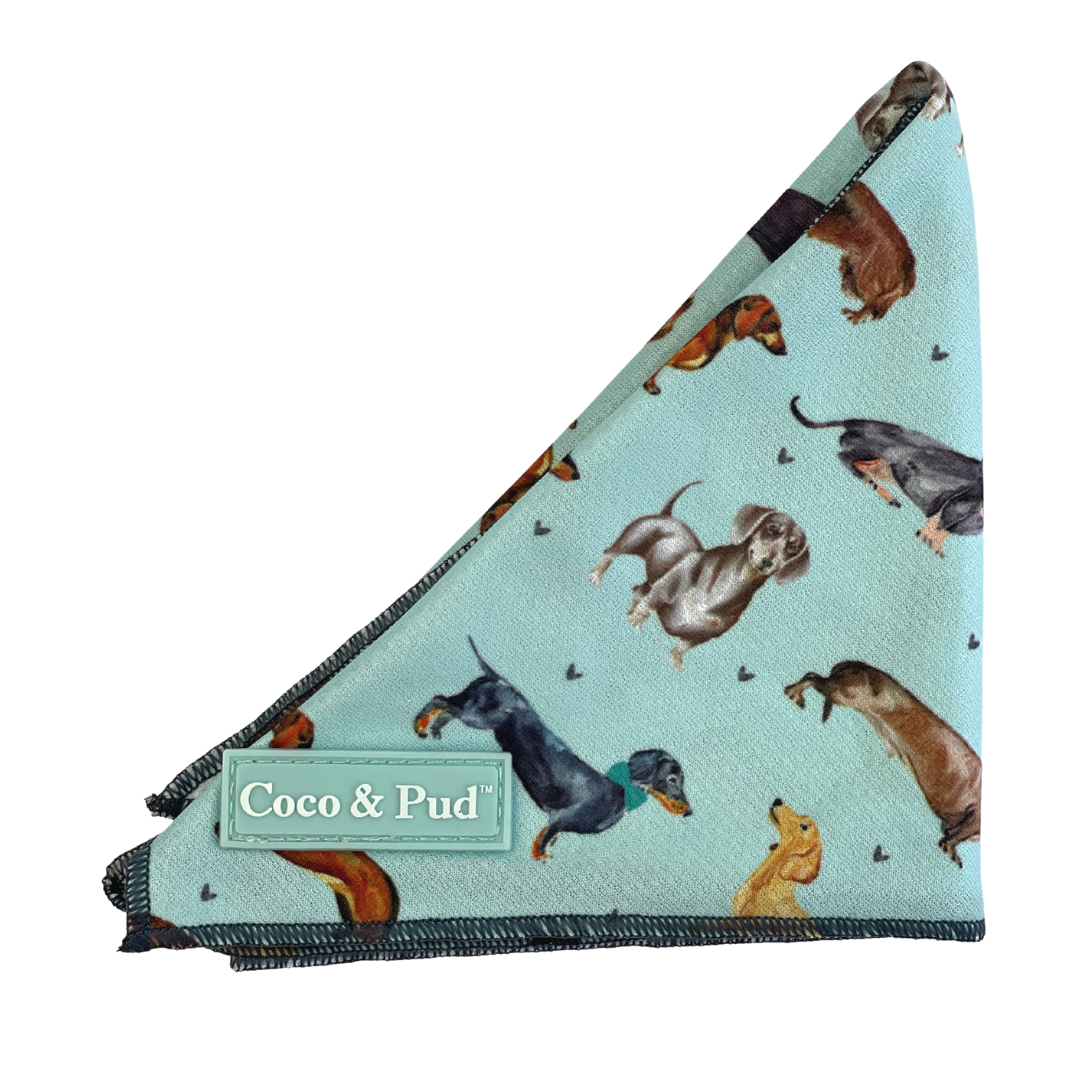 Coco & Pud Doxie Love Bandana