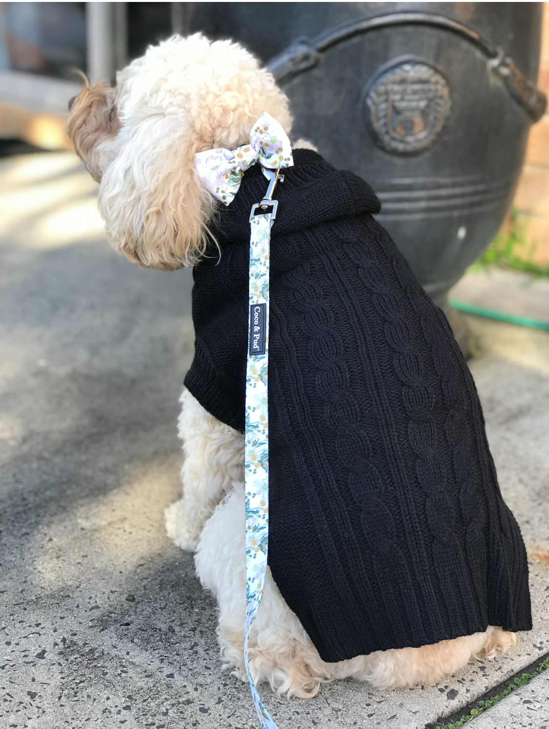 Molly in Coco & Pud Edinbrugh Pet Sweater Black