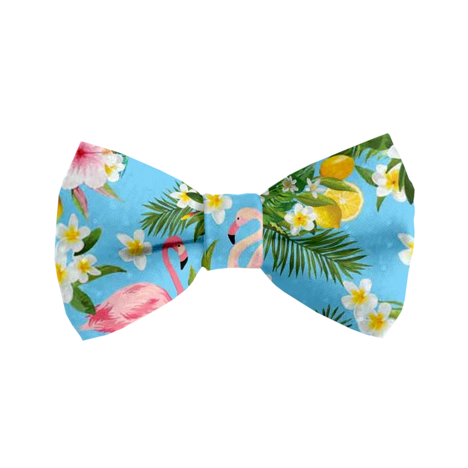 Coco & Pud Flamingo Tropical Cat Bowtie