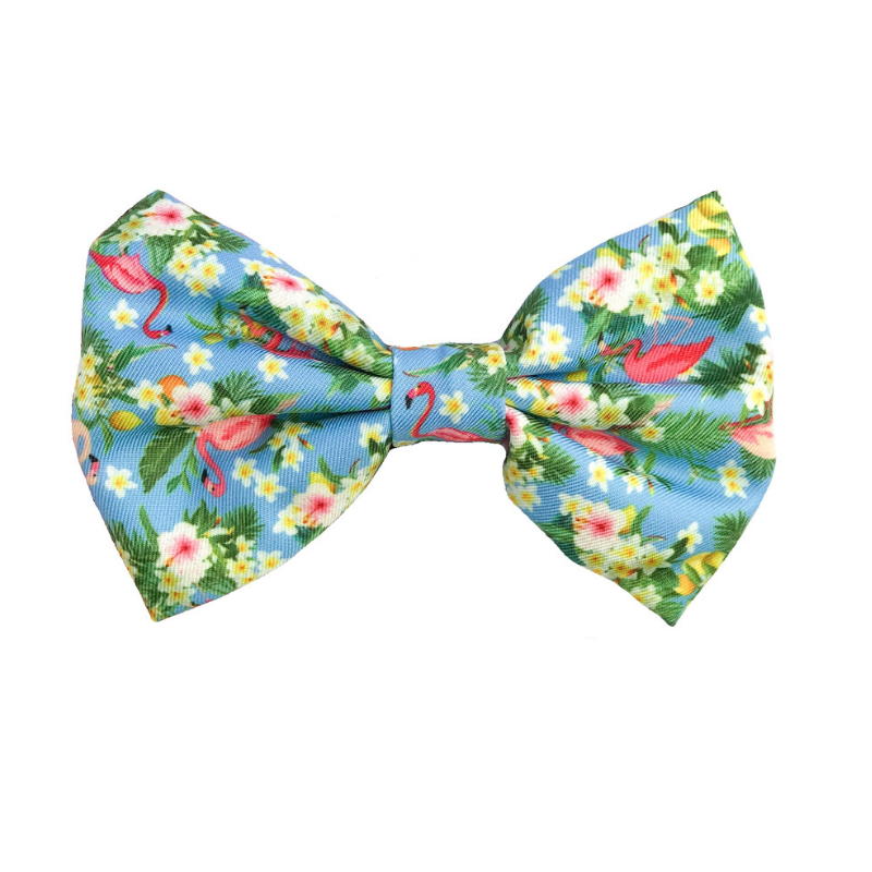 Coco & Pud Flamingo Tropical Bowtie - Coco & Pud