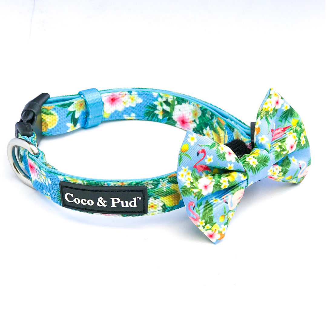 Coco & Pud Flamingo Tropical Collar & Bowtie - Coco & Pud