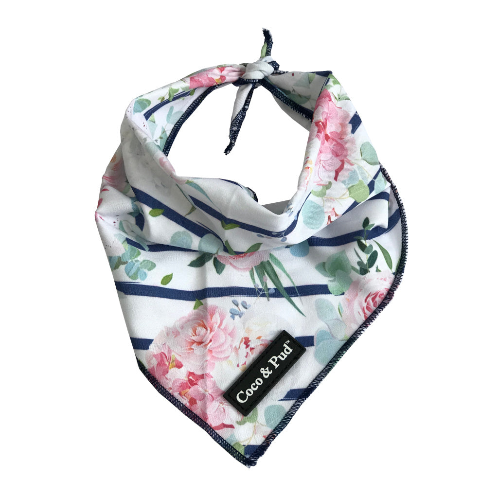 Coco & Pud Floral Blooms Cotton Cat Bandana