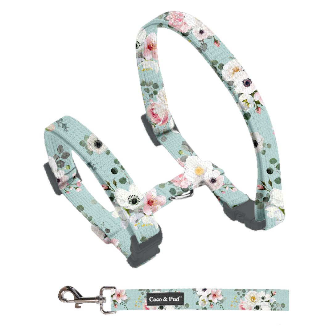 Coco & Pud French Azure puppy  Harness & Lead Set
