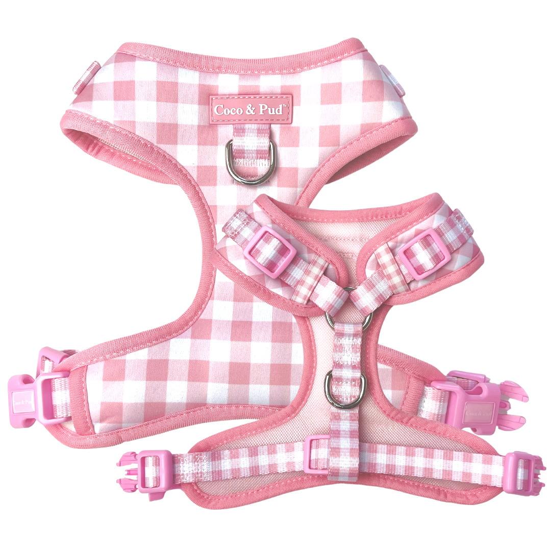 Coco & Pud Gingham Rose Adjustable Dog Harness