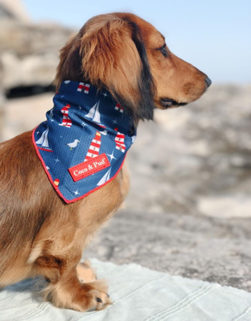 Coco & Pud Hamptons Bandana - Coco & Pud