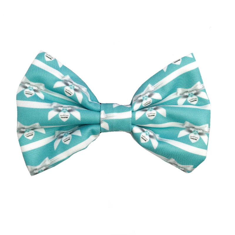 Coco & Pud Audrey Bowtie - Coco & Pud