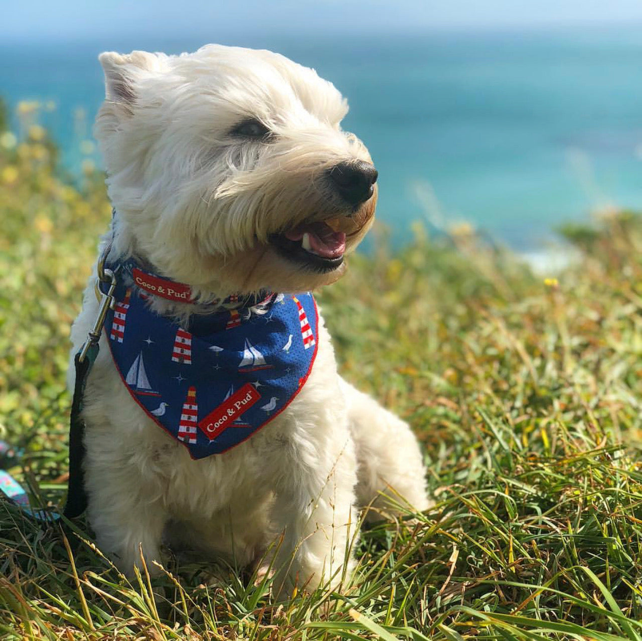 Coco & Pud Hamptons Bandana - Coco & Pud