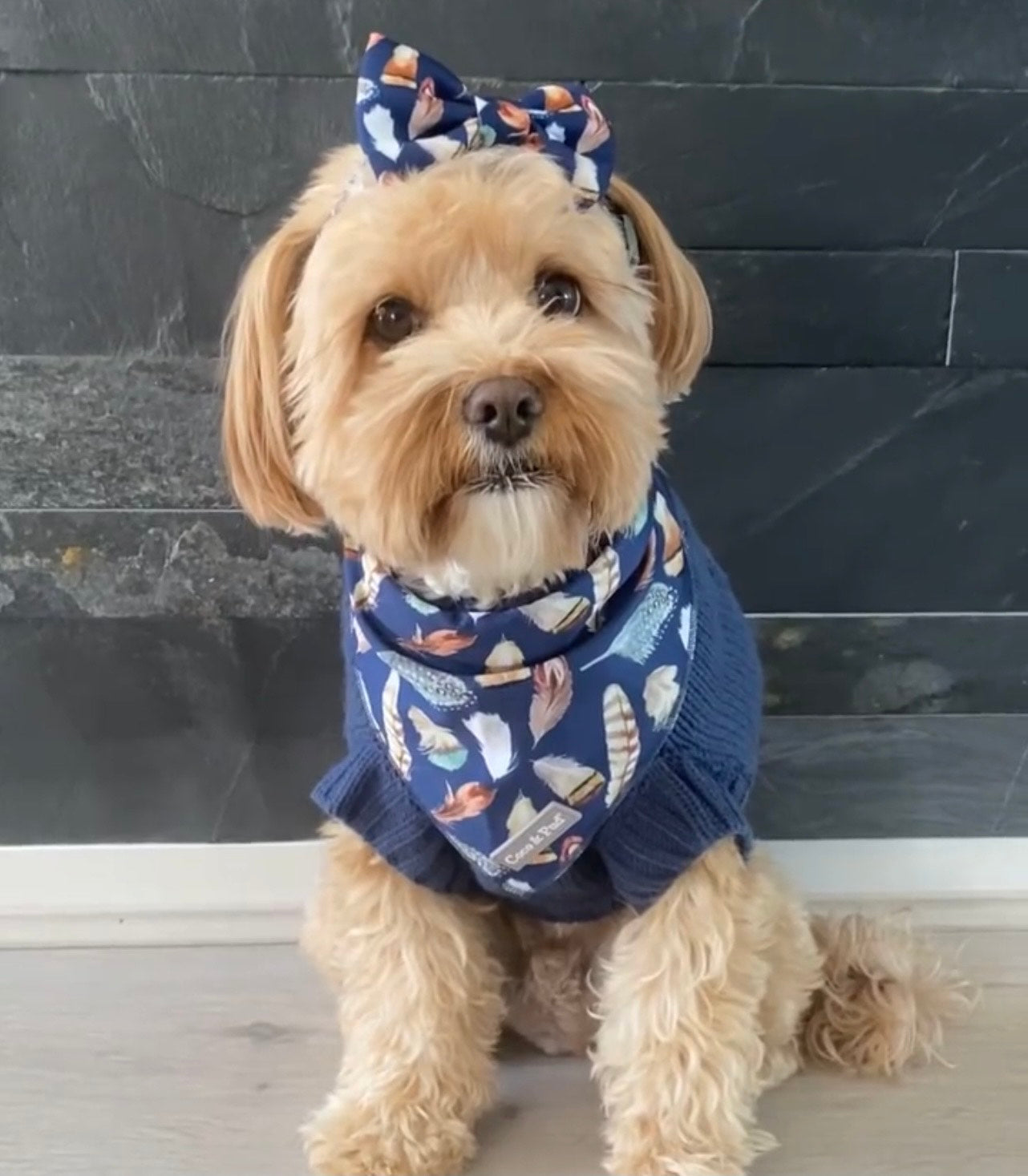 Humphrey in Coco & Pud Birds of a Feather Banadana & Bowtie
