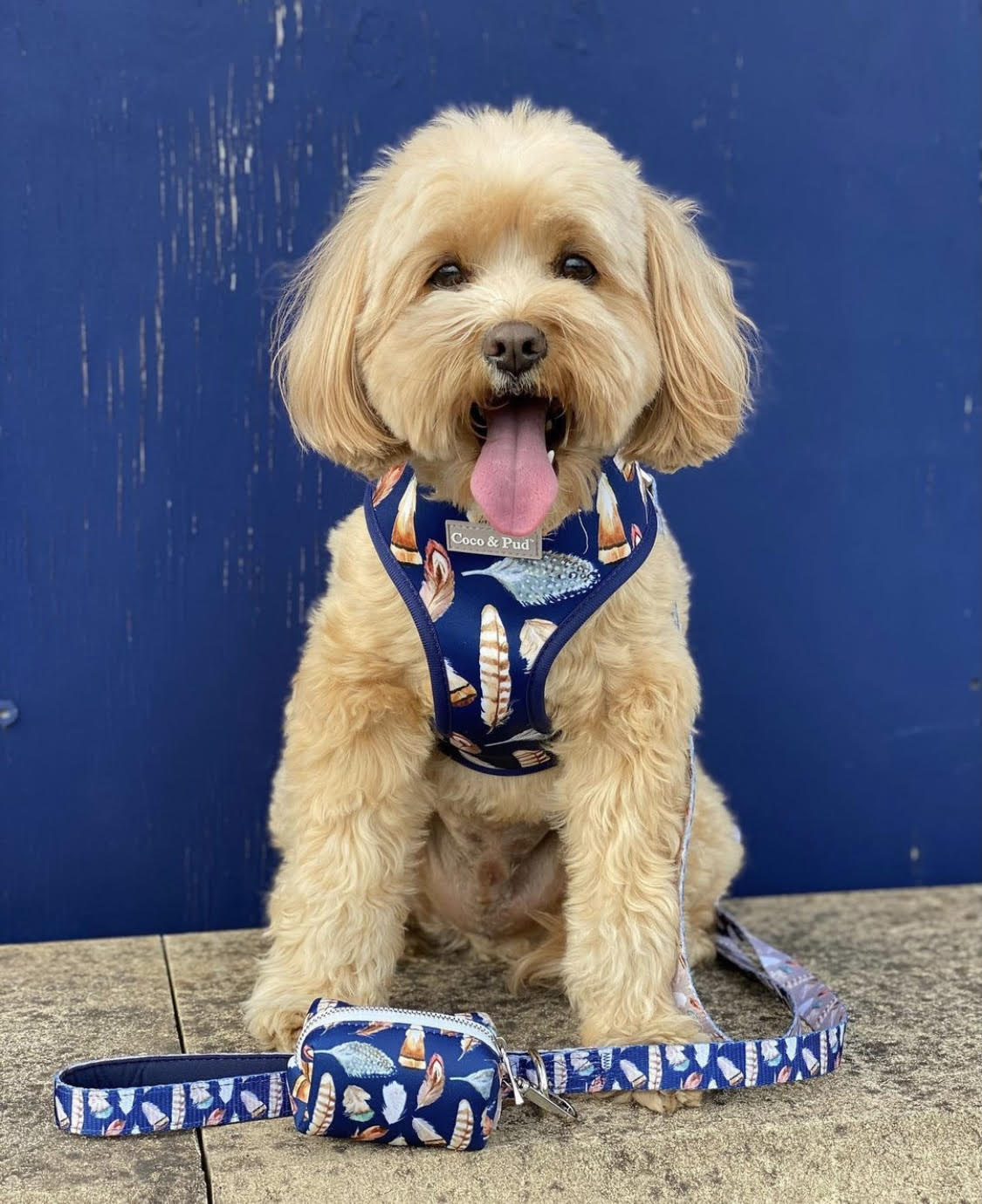 Humphrey in Coco & Pud Birds of a Feather