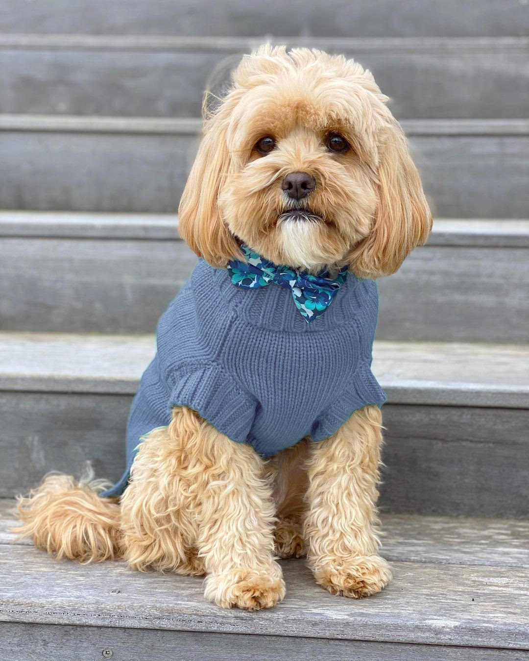 Humphrey in Coco & Pud Coco Cable Boathouse Blue