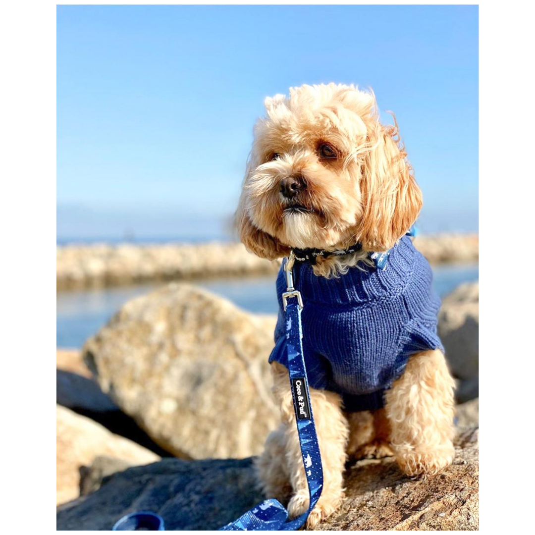 Coco & Pud Coco Cable Pet Sweater Navy