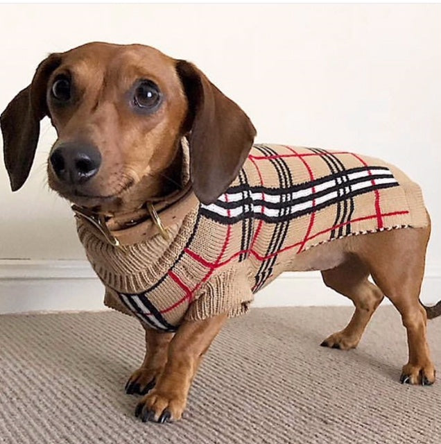 Coco & Pud Knightsbridge Dog Sweater - Beige - Coco & Pud