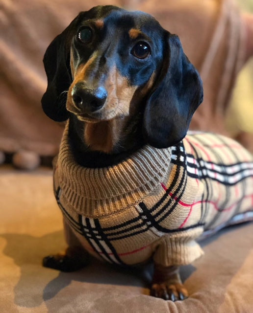 Coco & Pud Knightsbridge Dog Sweater - Beige - Coco & Pud