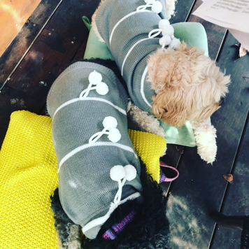 Pom Pom Dog Sweater - Coco & Pud