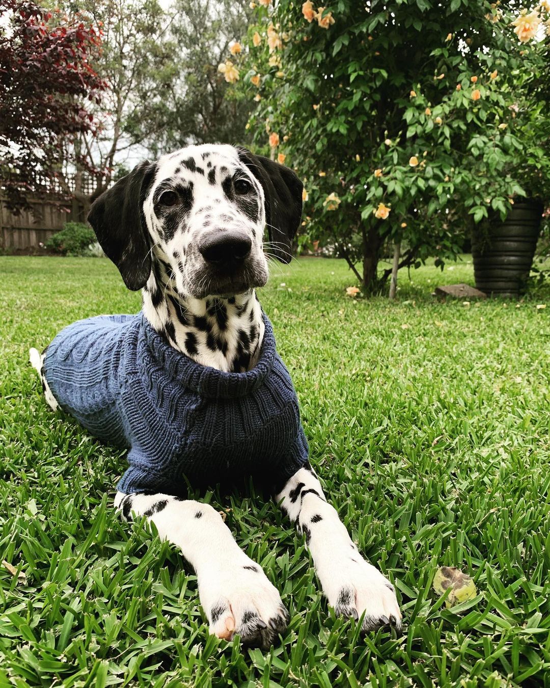 Jerry in Coco & Pud Coco Cable Sweater Slate Grey