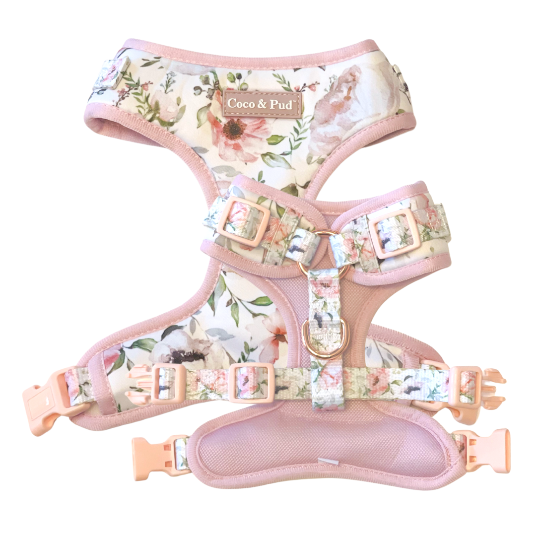 Coco & Pud Le Jardin Adjustable Dog Harness