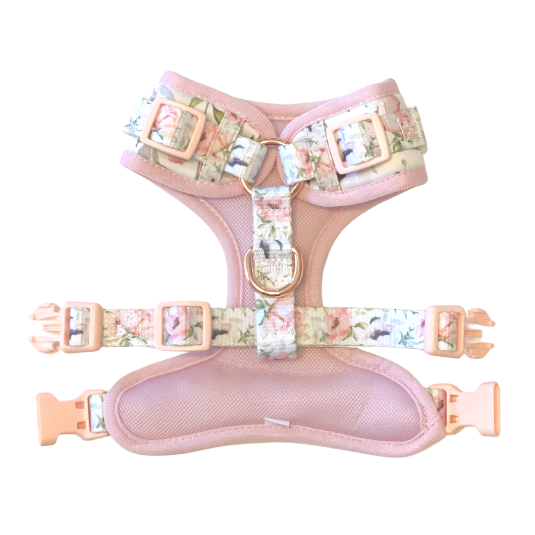 Coco & Pud Le Jardin Adjustable Dog Harness back