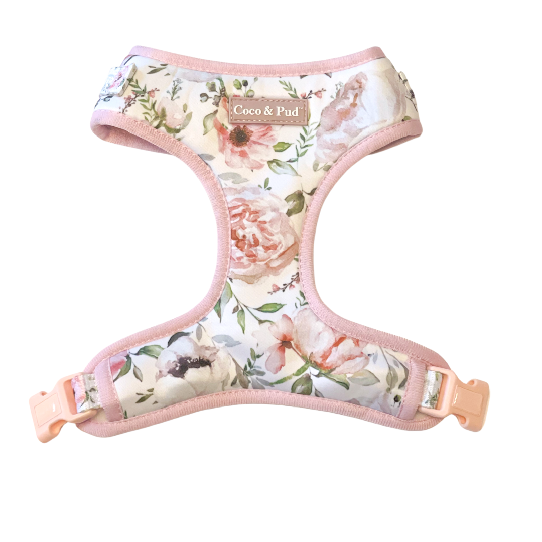 Coco & Pud Le jardin Adjustable Dog Harness front