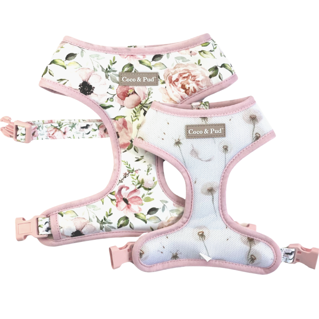 Coco & Pud Le Jardin Reversible Dog Harness